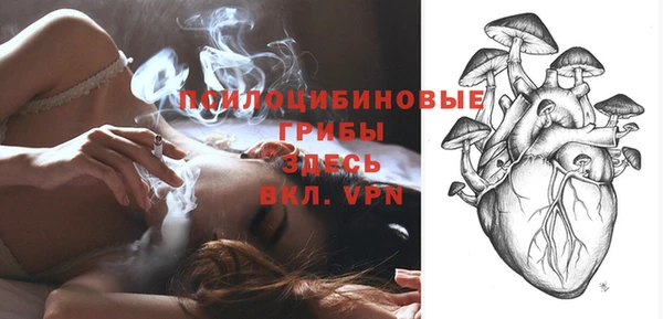 гидропоника Алексин