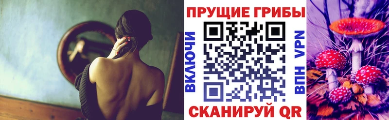 MEGA как зайти  Мещовск  Псилоцибиновые грибы ЛСД  где найти  